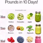 full day meal plan for weight loss in 10 days