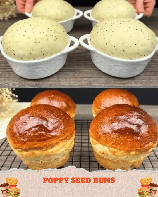 Poppy Seed Buns